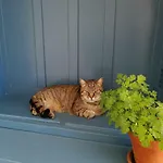 Apartamento Bona Terra