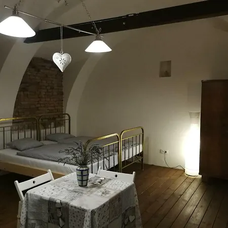 Bona Terra Apartment Horni Vestonice