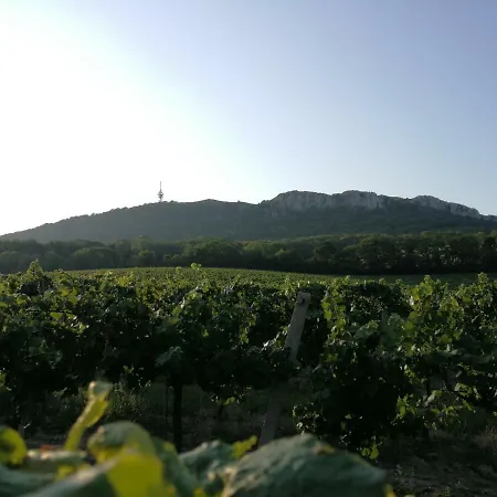 Apartamento Bona Terra Horni Vestonice