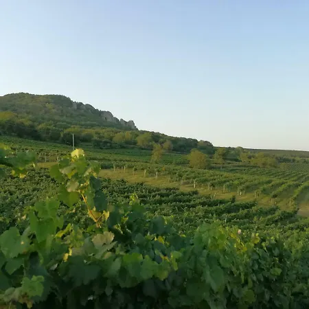 Bona Terra * Horni Vestonice