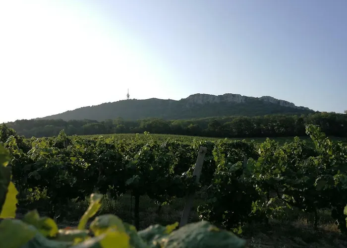 아파트 Bona Terra 호르니 베스토니체