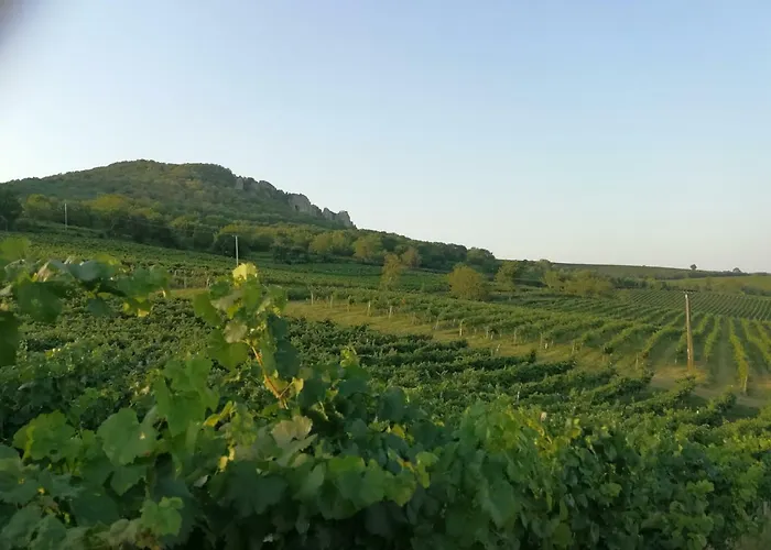 Bona Terra * Horni Vestonice